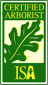 isa-logo isa-logo