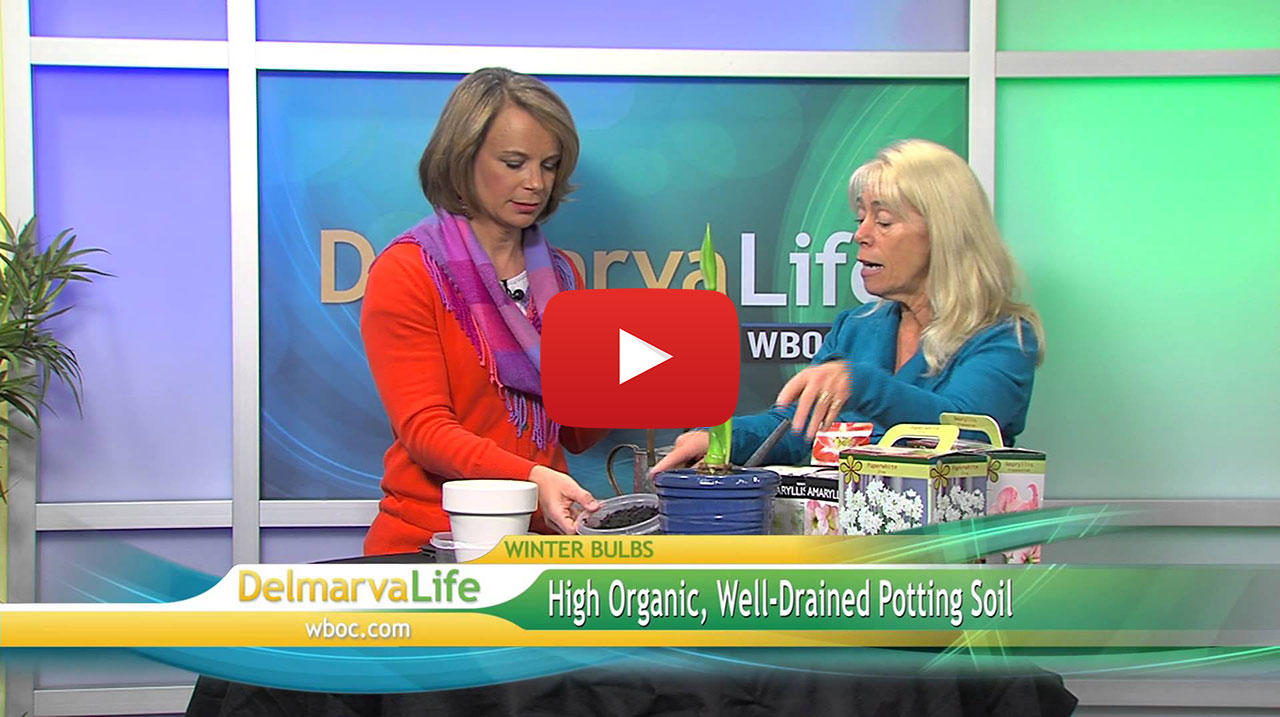 Two women working with plants for a video thumbnail