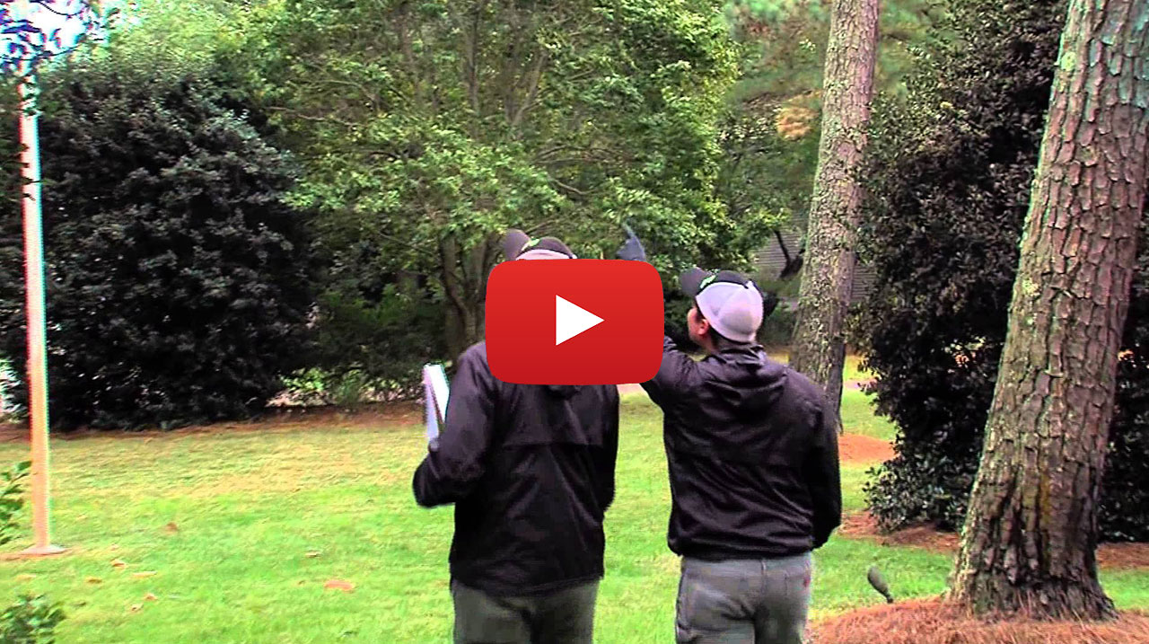 Sussex Tree & STI Landscaping Video Thumbnail tree services info