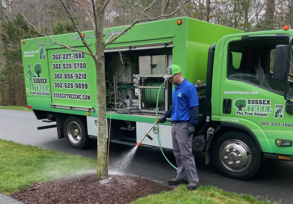 Plant Health Care & Protecting Delaware Landscape | Sussex Tree
